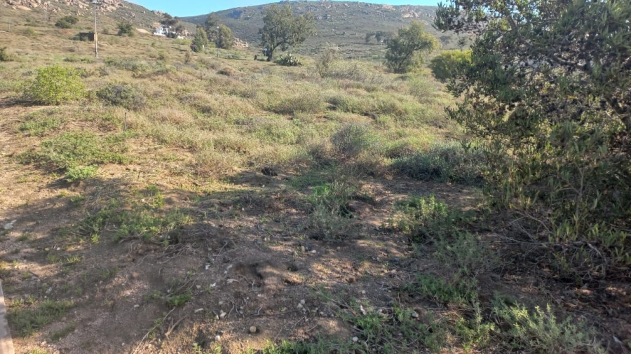 0 Bedroom Property for Sale in St Helena Views Western Cape